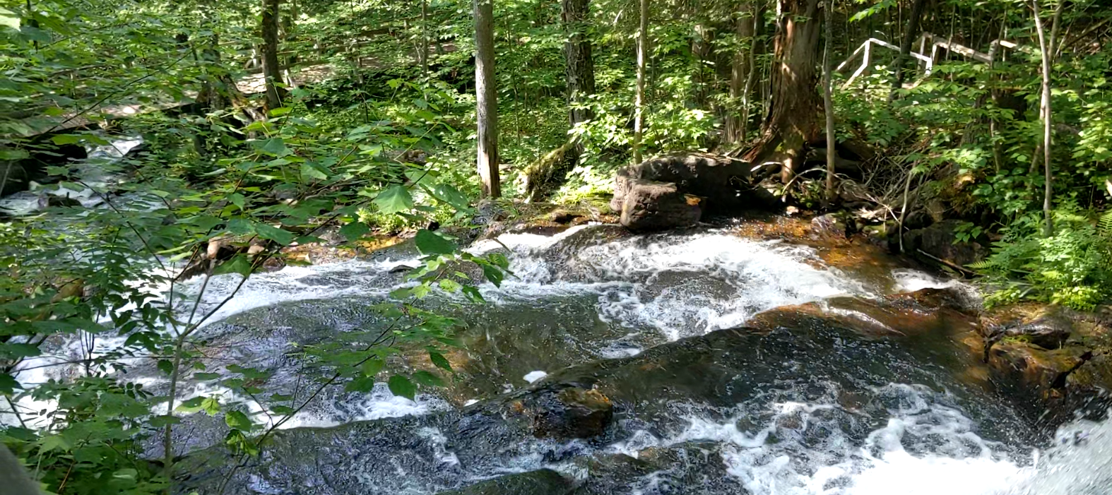 Ruisseau du Petit Castor en été